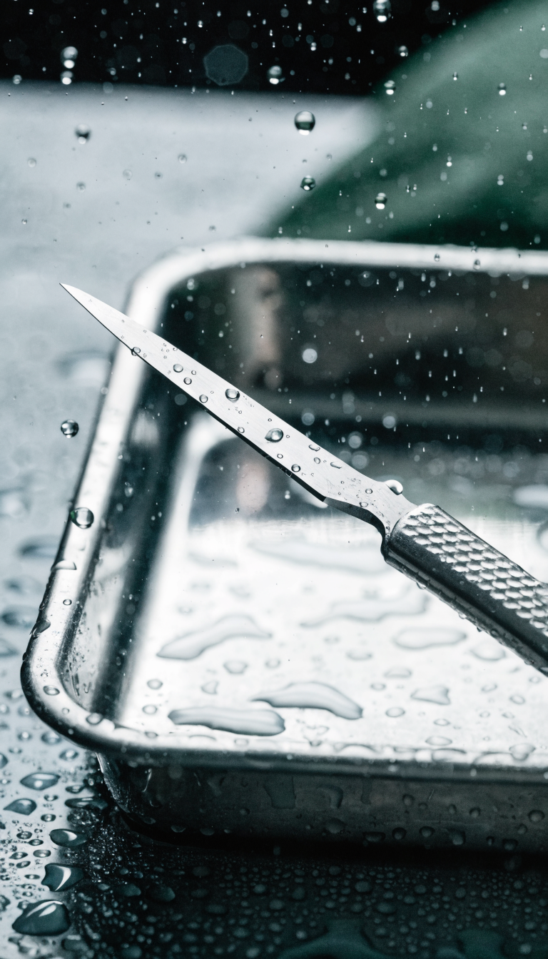 temp_1773243603146 How to Treat Bumblefoot in Chickens?