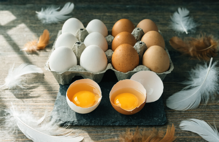 Brown Eggs Vs White Eggs the Truth Cracked Open