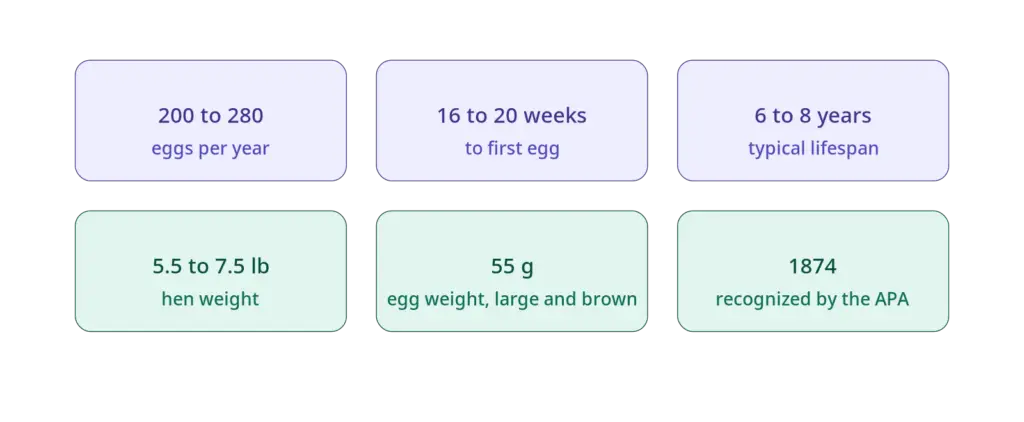 barred_rock_breed_profile_stats1-1024x422 Pros & Cons Keeping Barred plymouth rock