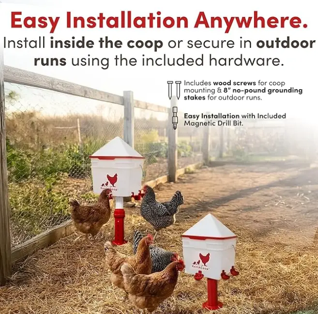 image-11 12 Backyard Chicken Essentials That Actually Earn Their Keep in 2026