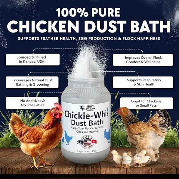 image-14 12 Backyard Chicken Essentials That Actually Earn Their Keep in 2026