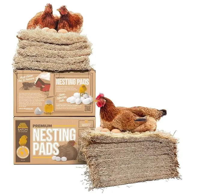 image-15 12 Backyard Chicken Essentials That Actually Earn Their Keep in 2026