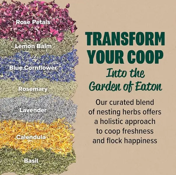 image-16 12 Backyard Chicken Essentials That Actually Earn Their Keep in 2026