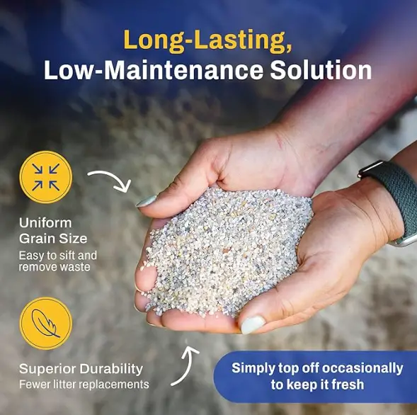 image-18 12 Backyard Chicken Essentials That Actually Earn Their Keep in 2026