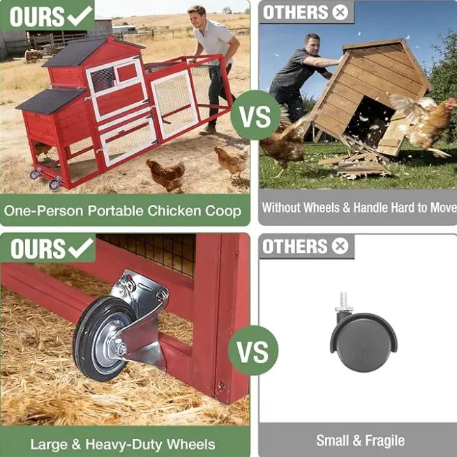 image-19 12 Backyard Chicken Essentials That Actually Earn Their Keep in 2026