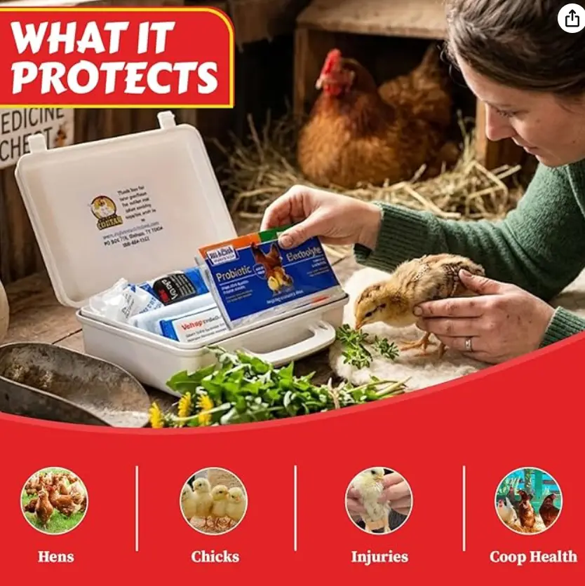 image-20 12 Backyard Chicken Essentials That Actually Earn Their Keep in 2026