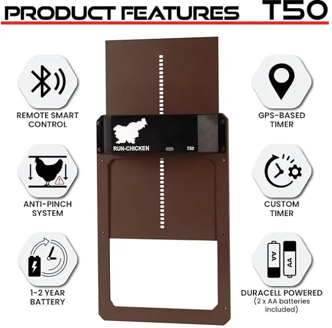 image-9 12 Backyard Chicken Essentials That Actually Earn Their Keep in 2026