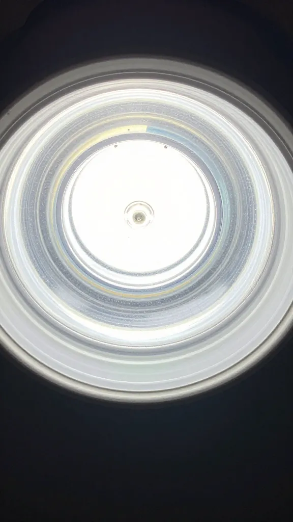 temp_1776892897886 Stop the Egg Drought Why Are My Ducks Not Laying Eggs? Common Reasons and Fixes