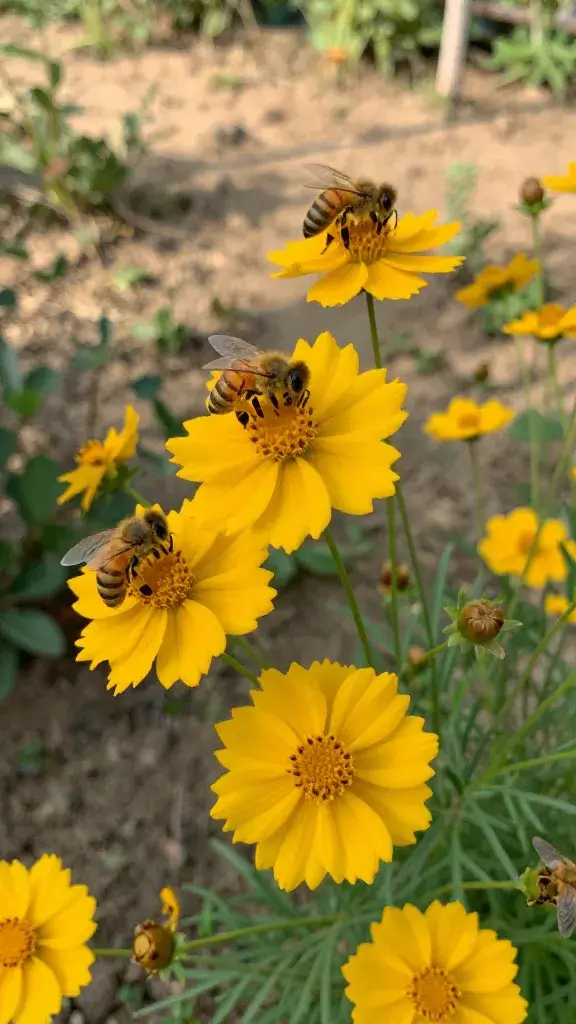 temp_1776936113637 15 Plants That Bloom All Season and Support Honey Bees Now